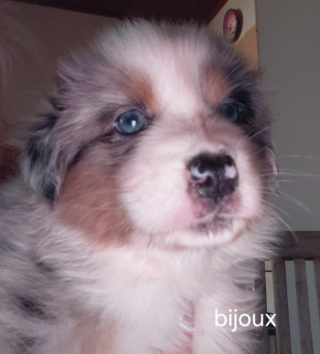 Bijoux